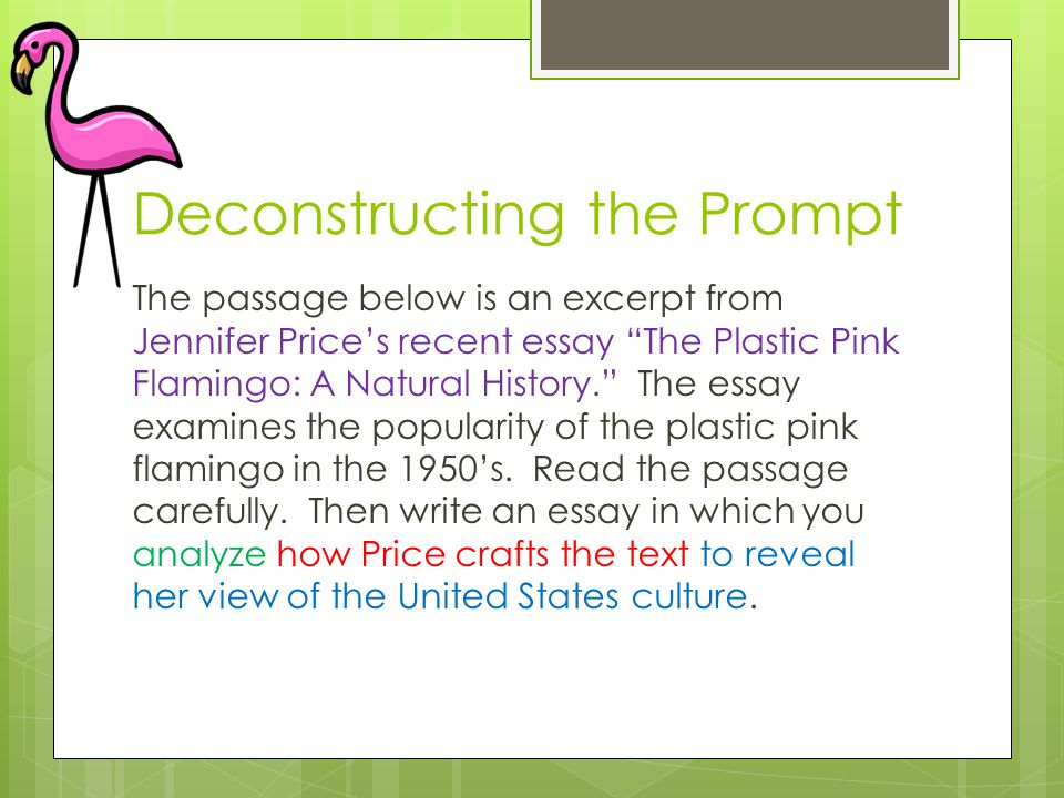 The plastic pink flamingo rhetorical essay